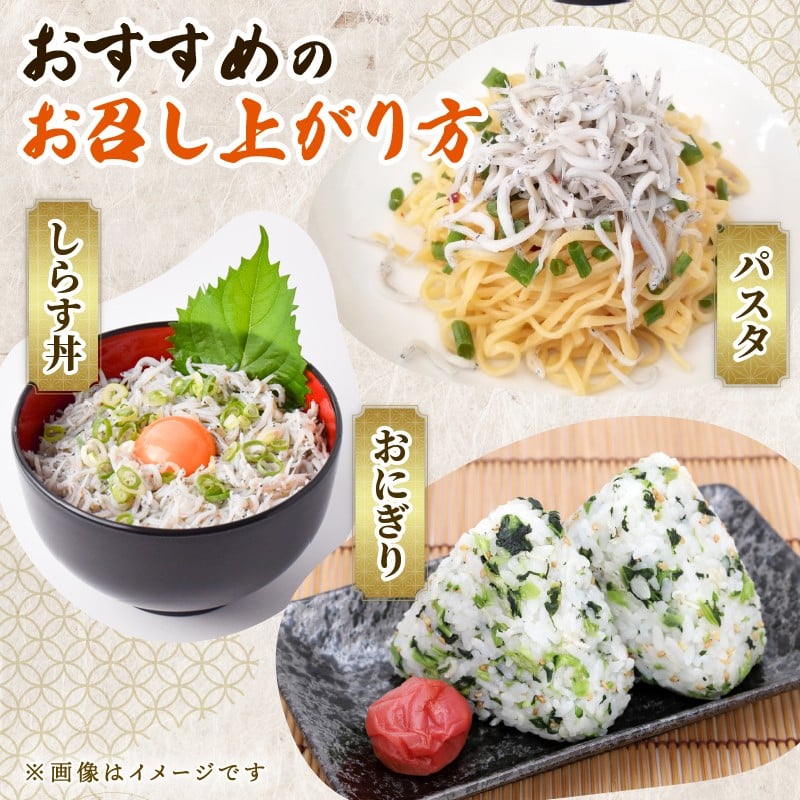 訳あり 釜揚げしらす 約1kg 冷凍 惣菜 弁当 晩ごはん 白州 白子 魚介類 海鮮 わけあり 小魚 魚 鮮魚 グルメ 人気 海の幸 ふりかけ ちりめん しらすご飯 国産 じゃこ しらす丼 塩分控えめ 減塩 離乳食 高齢者 赤ちゃん おにぎり パスタ アレンジ 料理 おいしい 安心 安全 旨味 保存方法 冷凍保存 解凍方法 おすすめ 使い方 食べ方 安芸市 高知県