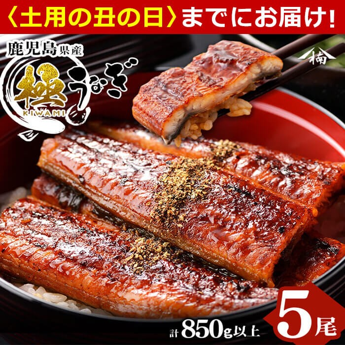 【丑の日までに配送】楠田の極うなぎ 蒲焼き 170g以上×5尾(計850g以上) c7-004-us