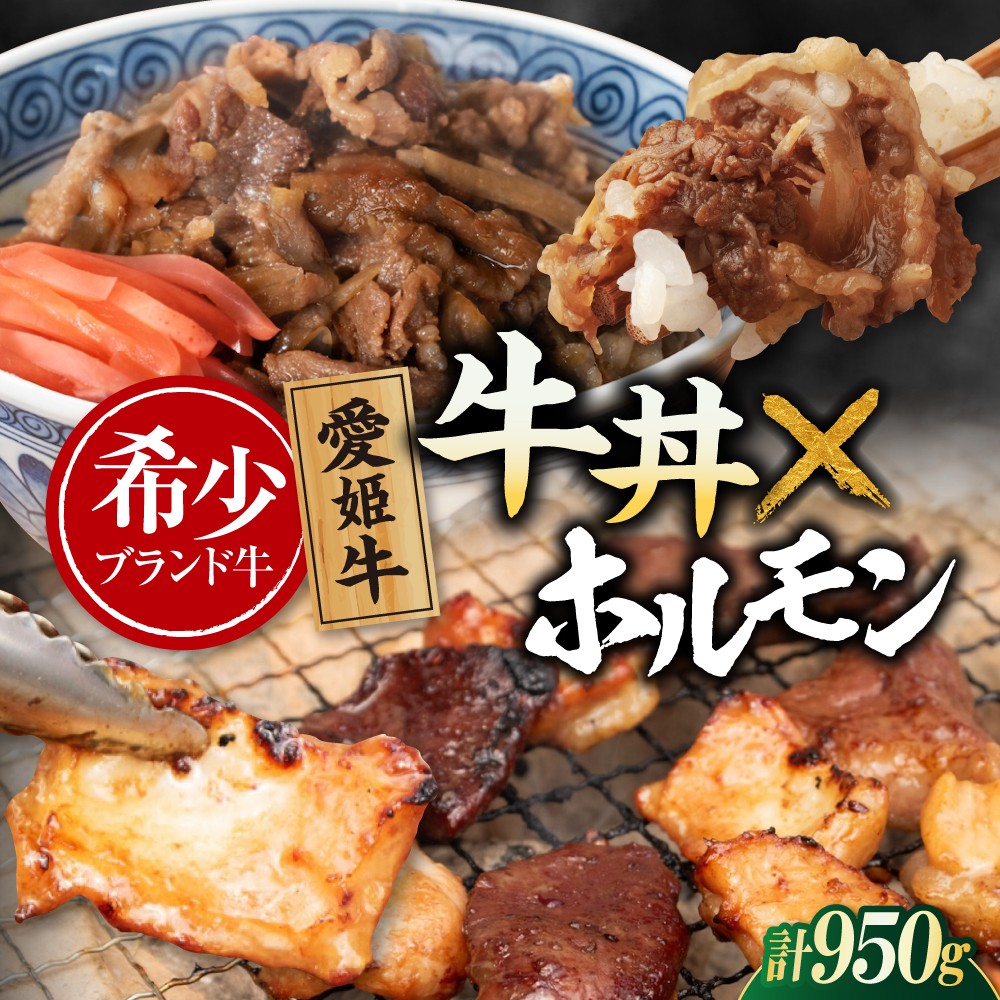 肉【冷凍】 愛姫牛 肉屋のこだわりお惣菜セット 牛丼×3食とミックスホルモン×500g 計950g 愛媛県大洲市/有限会社 木村屋精肉店 牛丼 牛肉 和牛 牛 国産 [AGCC072]国産和牛 愛媛県産 大洲市産 人気 おすすめ ランキング 簡単 おいしい お肉 肉 国産肉 焼肉 送料無料 お取り寄せ グルメ ホルモン 冷凍 焼き肉 BBQ バーベキューグルメ 冷凍 簡単調理 牛皿 牛めし
