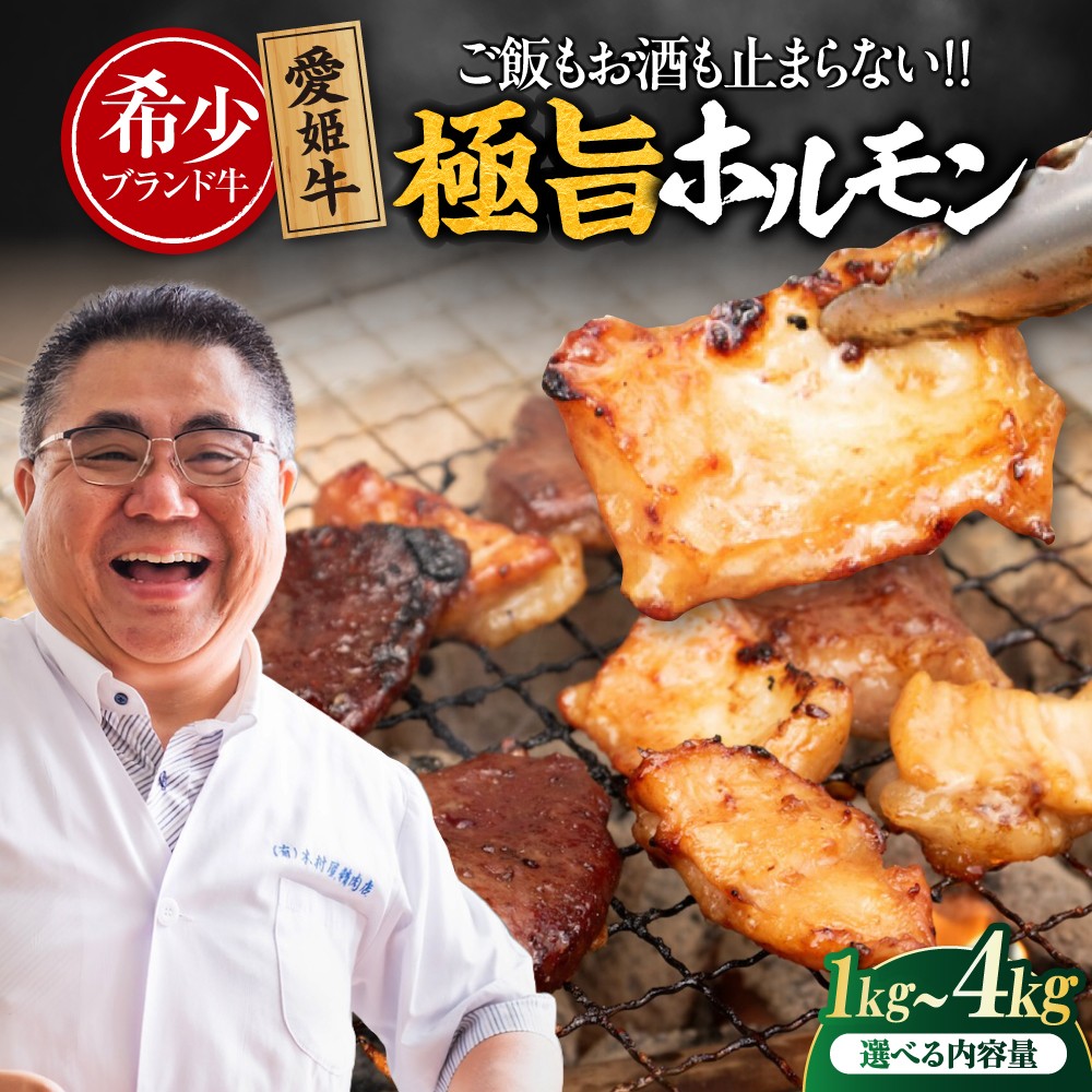 肉【冷凍】 愛姫牛 肉屋のこだわりお惣菜 タレ漬けミックスホルモン 500g×2パック 1kg 愛媛県大洲市/有限会社 木村屋精肉店 牛丼 牛肉 和牛 牛 国産 [AGCC068]国産和牛 愛媛県産 大洲市産 人気 おすすめ ランキング 簡単 おいしい お肉 肉 国産肉 焼肉 送料無料 お取り寄せ グルメ ホルモン 冷凍 焼き肉 BBQ バーベキュー ホルモン焼きそば ホルモン炒め