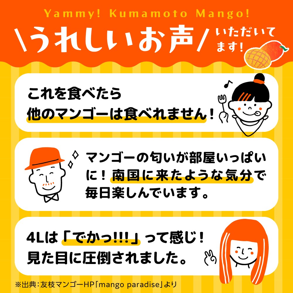 【2026年発送分 先行予約】秀品 菊池マンゴー約1kg（2〜3玉） L〜3Lサイズ　【友枝マンゴー農園】果物 フルーツ マンゴー アーウィン くだもの 旬 期間限定 季節限定 スイーツ 国産  [AYDF003]