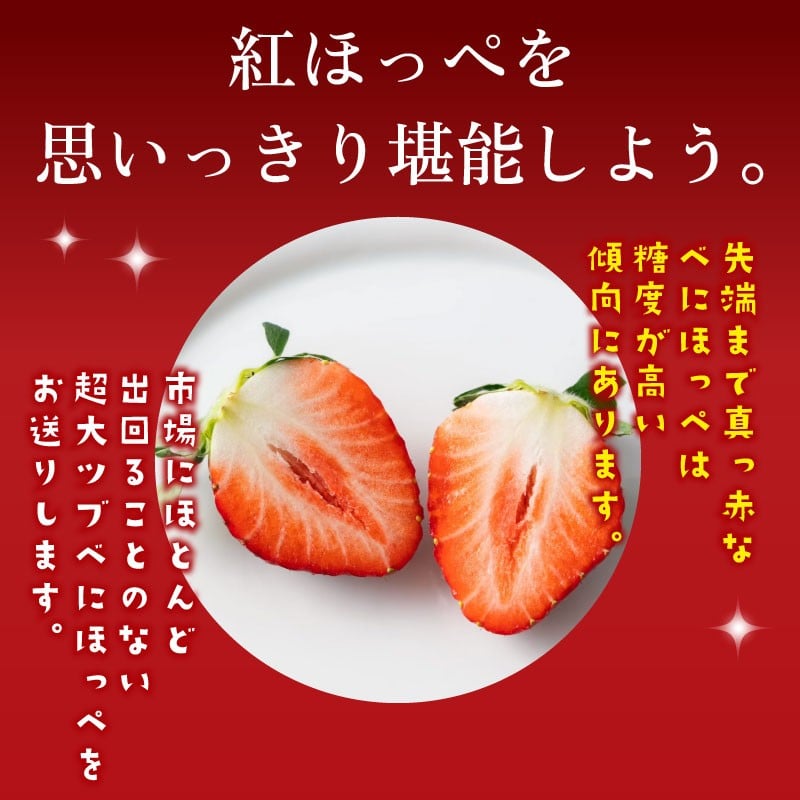 【1月~2月発送】 紅ほっぺ 超大粒 900g いちご 冷蔵発送 べにほっぺ 苺 イチゴ 1箱 ゆりかーご 土耕栽培 フルーツ 果物 スイーツ デザート 朝摘み ストロベリー おやつ 完熟 直送 ギフト 家庭用 贈答用 贈答 ギフト 贈り物 甘い ブランド ジャム アレンジ 農家直送 ベリー 産地直送 国産 おすすめ 森木農園 静岡県 牧之原市 ~土耕栽培だから濃くて甘い!~