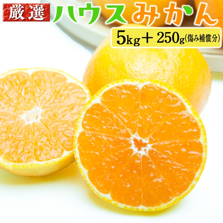 厳選 ハウスみかん5kg+250g（傷み補償分）