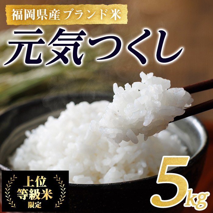 <先行予約受付中!2025年10月に順次発送予定・数量限定>JAよりお届け!福岡県産米 元気つくし (計5kg)お米 おこめ 米 こめ コメ 白米 福岡県産 ブランド米 常温 常温保存【ksg1813】【農産物直売所ほたるの里】