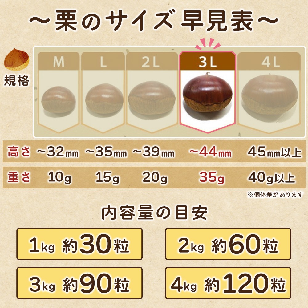 <大粒生栗 3Lサイズ(約4kg)>大玉 甘い 栗 マロン くり 和栗 栗ごはん モンブラン 栗きんとん 栗まんじゅう 甘露煮 スイーツ ケーキ 洋菓子 和菓子 お菓子 秋 味覚 産地直送 城川ファクトリー 愛媛県 西予市【冷蔵】『9月中旬〜10月上旬に順次発送予定』