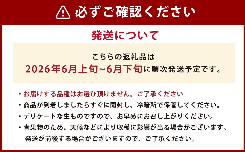熊本県産 小玉すいか 2玉 スイカ 果物 フルーツ くだもの 西瓜【2026年6月上旬～6月下旬迄順次発送予定】