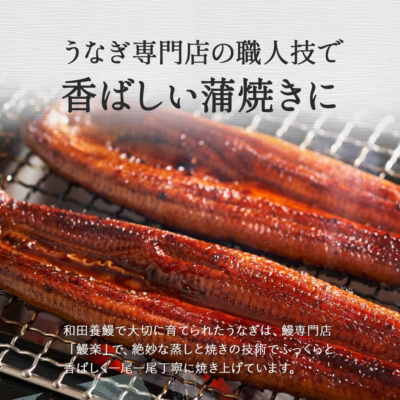 ふるさと納税限定 鹿児島県大崎町産 国産 うなぎ長蒲焼 2尾 計320g以上 | 鰻 うなぎ蒲焼き うな重 ひつまぶし ウナギ 蒲焼 人気 おすすめ 鹿児島 大隅半島 DU001