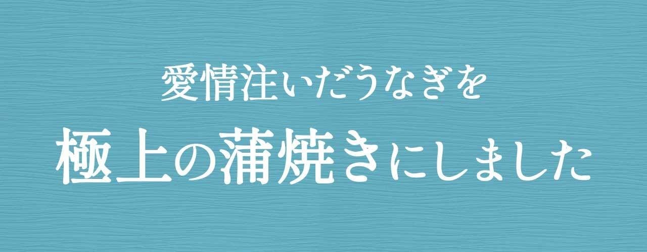 ふるさと納税限定 鹿児島県大崎町産 国産 うなぎ長蒲焼 2尾 計320g以上 | 鰻 うなぎ蒲焼き うな重 ひつまぶし ウナギ 蒲焼 人気 おすすめ 鹿児島 大隅半島 DU001
