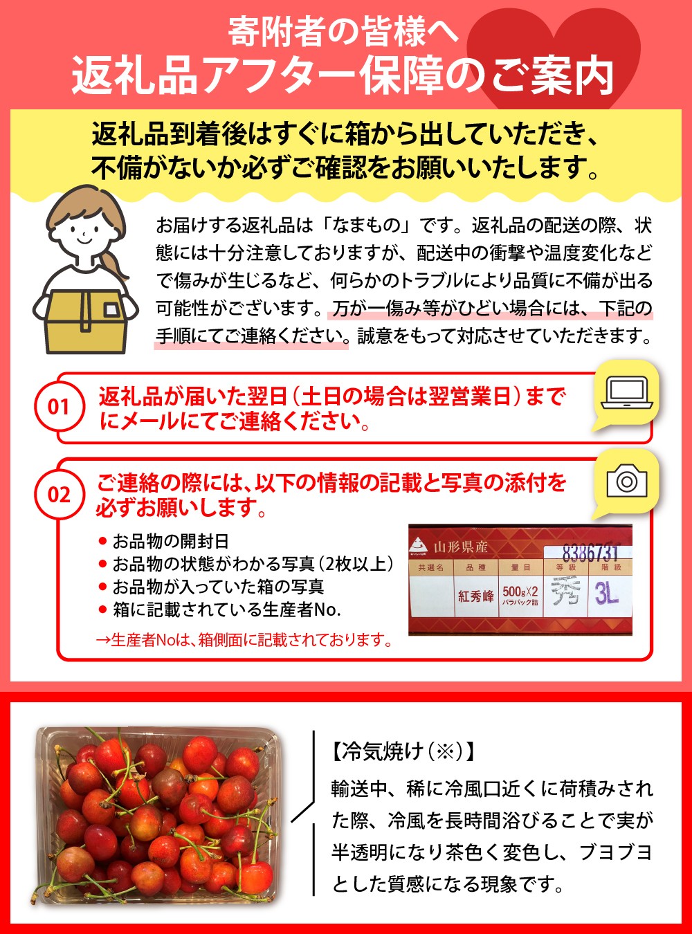 【令和8年産】ハウスさくらんぼ「紅秀峰」300g化粧箱 山形県河北町産【JAさがえ西村山】 ka008-005e-r8