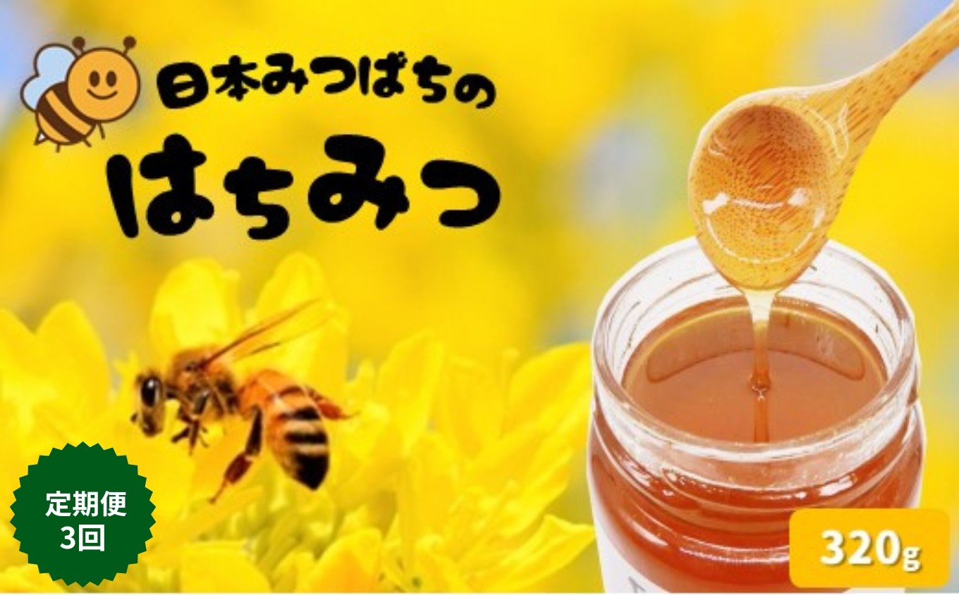 【 定期便 3回 】和水町産 日本蜜蜂のはちみつ「希少品」 320g | 熊本県 熊本 くまもと 和水町 なごみまち なごみ ハチミツ ハチミツ 蜂蜜 日本蜜蜂 国産 320g 瓶