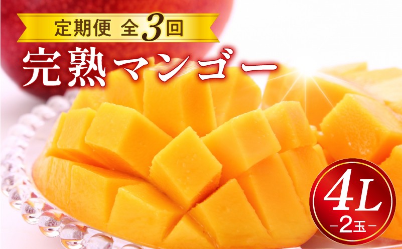 《2026年発送先行予約》【数量・期間限定】完熟マンゴー4L2玉定期便 全3回_M153-T035