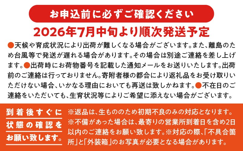 【2026年先行予約】伊村農園こだわり栽培!完熟アップルマンゴー2kg(4~5玉) W026-002u