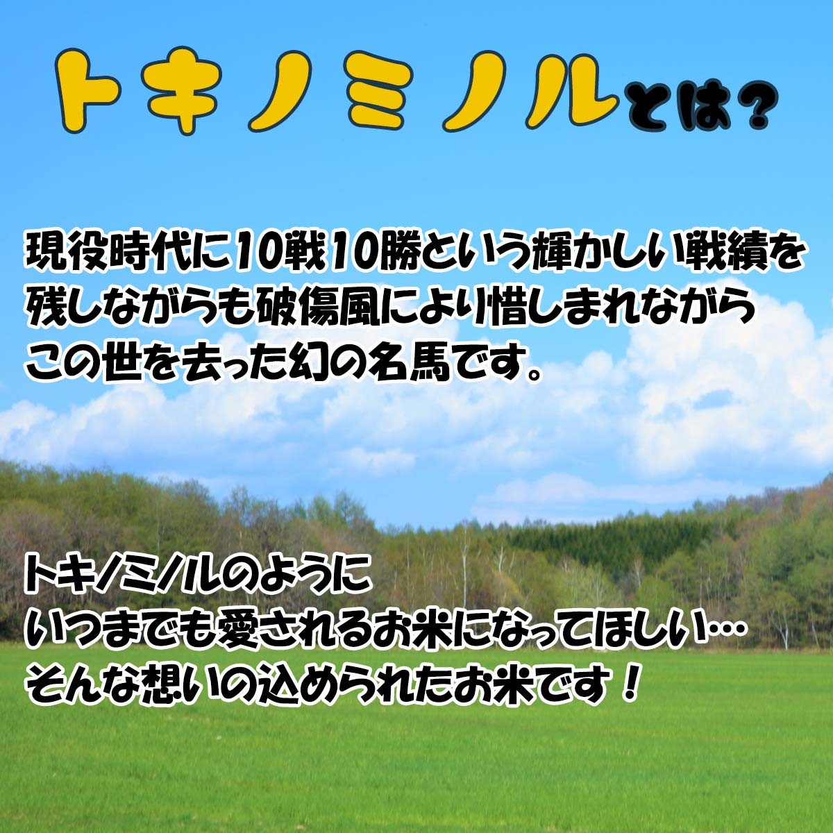 北海道産 新米 ななつぼし トキノミノル 白米 5kg お米 米 ななつぼし