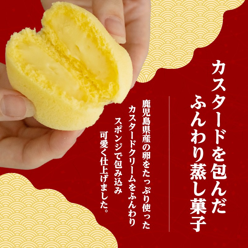 かすたどん 16個入 K167-001