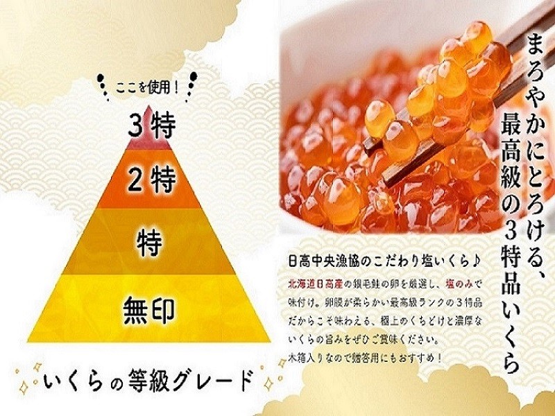 塩いくら3特品(500g×2箱)[02-499]