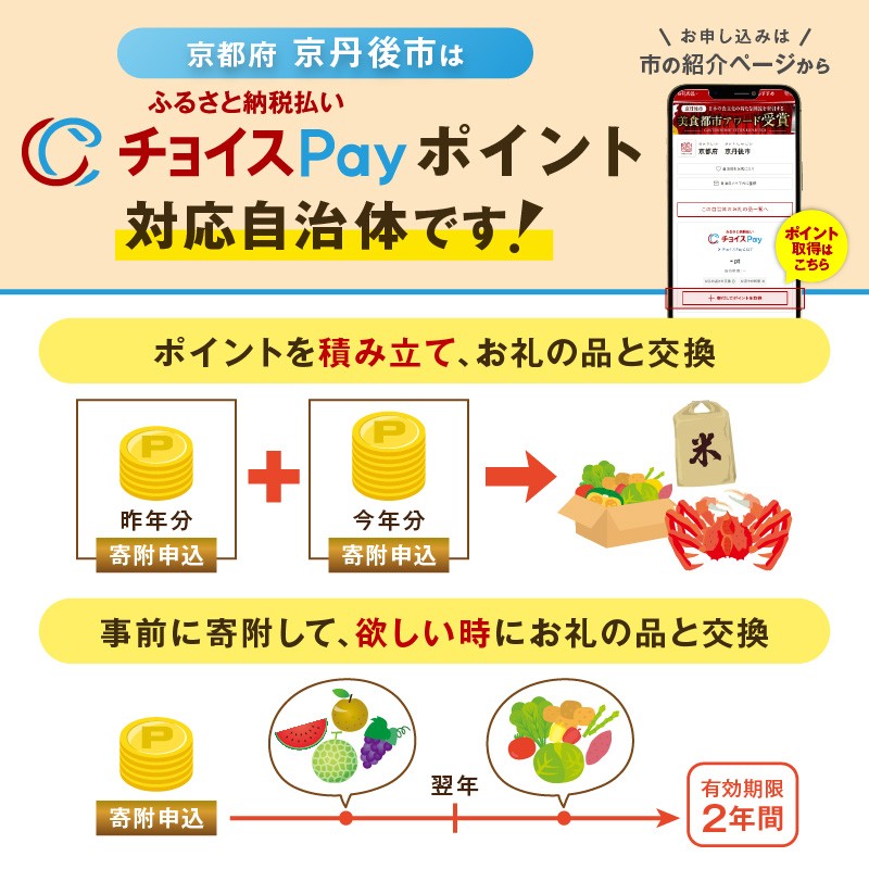 丹後の藤布 八寸名古屋帯 「海に藤 (紫)」 全通太鼓腹/平仕立て 藤布 名古屋布 名古屋 仕立て 松葉 仕立て 平 仕立て 紫 紫色 FY00003