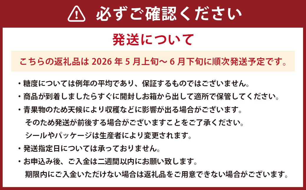 熊本産 大玉すいか ラオウザスイート 1玉入り 5kg以上【2026年5月上旬~6月下旬迄順次発送予定】すいか 大玉