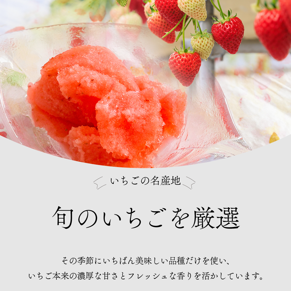 レストラン綺羅々亭特製「いちごのシャーベット」12個セット[59-1484]