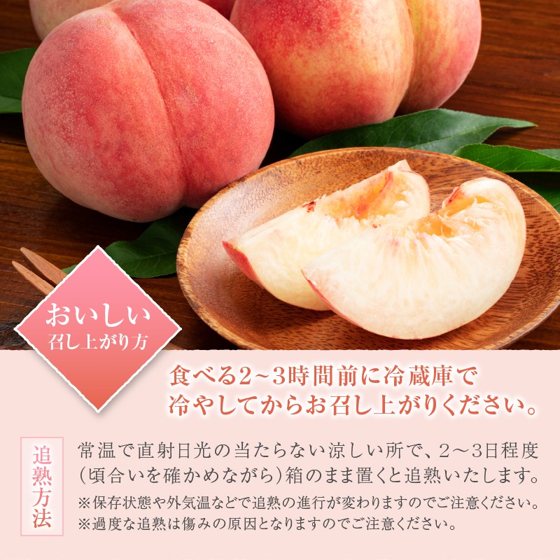 【定期便】旬のフルーツお裾分け定期便3回（いちご・桃・シャインマスカット）（KSB）C7-101 【桃 もも モモ シャインマスカット 葡萄 ぶどう ブドウ 山梨県産 甲州市 期間限定 フルーツ 果物】