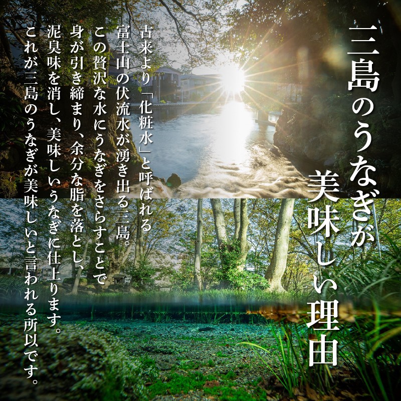 うなぎ蒲焼 4人前 480g~ 冷蔵 静岡名産 三島名物 真空パック 御殿川 極上うなぎ 熟練職人 土用丑の日 晩ごはん 家族 惣菜 うなぎ 鰻重 うな重 蒲焼き 老舗 うなぎ料理 川魚 和食 グルメ 贈り物 ギフト 特産品 うなぎの蒲焼 鰻料理 うなぎ専門店 うなぎ通販 お取り寄せ 三島市 静岡県