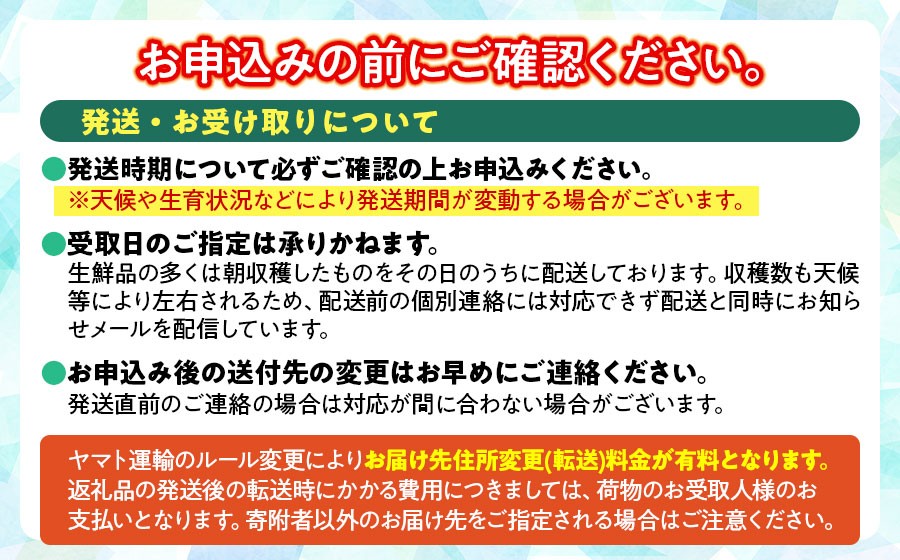 【令和8年産先行予約】さくらんぼ 佐藤錦 バラ 1kg（500g×2）鶴岡市櫛引産 桜桃の鈴木・鶴岡地区物産協同組合 K-867