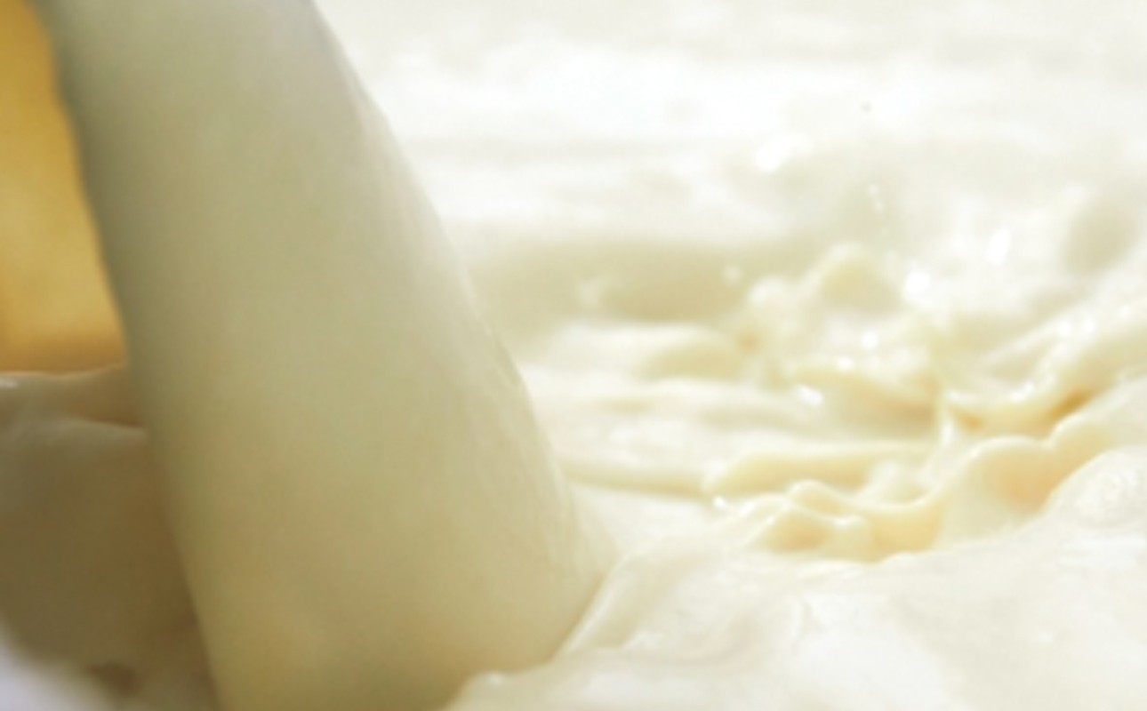 Soy Tea Time Set|大豆珈琲&豆乳スイーツのティータイムセット【豆腐、にがり、無添加、オーガニック、発酵食品、スローライフ、珈琲、手作り、安心、三重県、四日市市、ふるさと納税】