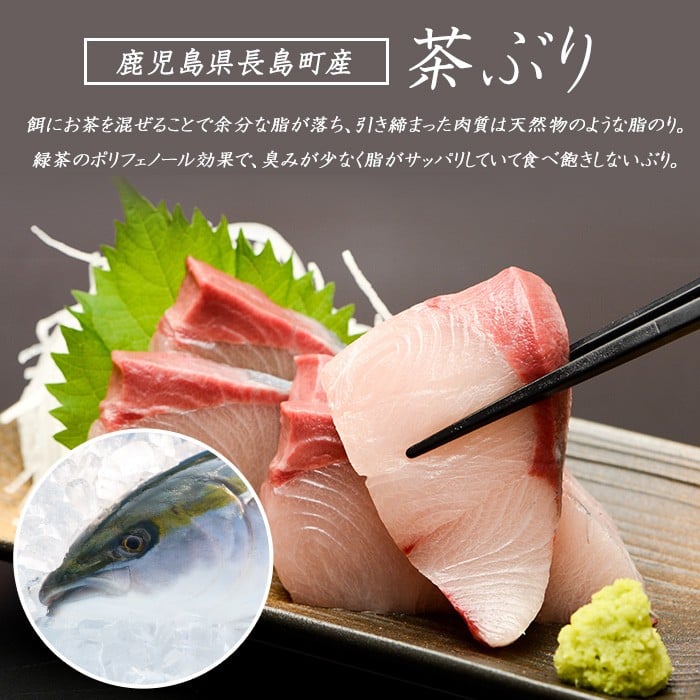 《鹿児島県長島町産》包丁いらず!茶ぶりしゃぶしゃぶセット(2人前)【株式会社 Never Land】never-1545