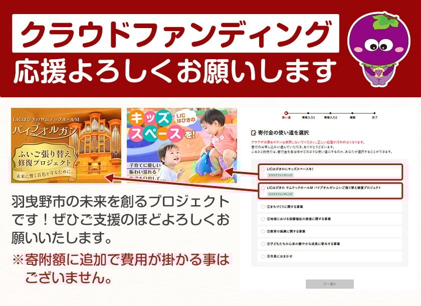 デラウェア ぶどう 訳あり ご家庭用 約600g《2026年7月上旬-8月上旬頃出荷》大阪府 羽曳野市 送料無料 ブドウ 葡萄 フルーツ 果物 羽曳野市産 一大産地 青果 お取り寄せフルーツ