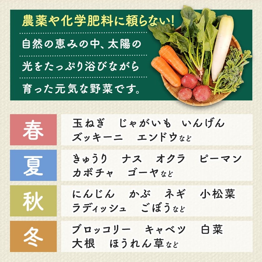 しあわせ野菜畑の有機野菜 Lセット (安心の有機JAS認証 旬のオーガニック野菜 農場直送便)【1493216】