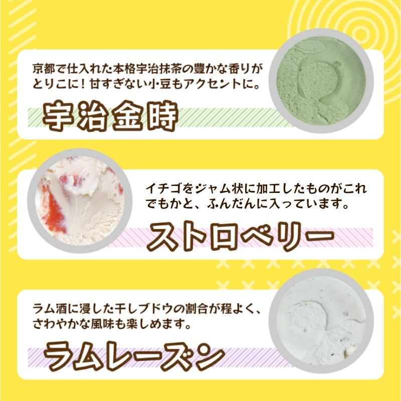 【3ヶ月定期便】《ポラーノ》ジェラート人気の8個セット〈 バニラ ごま ラムレーズン チョコチップ 宇治金時 ストロベリー 南部一郎カボチャ 〉【 アイス 詰め合わせ 食べ比べ 冷凍 手作り 人気 ギフト 岩手県 一関市 】