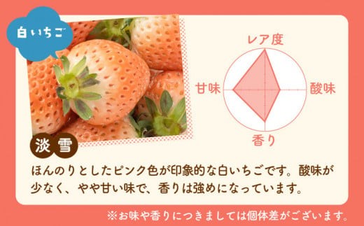 【先行予約】【農家直送/アフターフォロー】白石町産 「淡雪」220g×2パック【岸川農園】 いちご 苺 イチゴ あわゆき 淡雪 淡雪いちご しろいちご 白苺 アフター対応 アフターフォロー [IAP005]