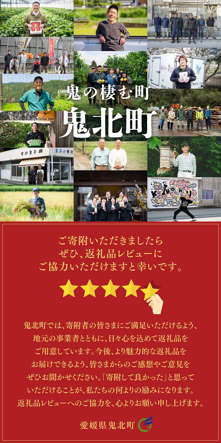 鬼の薪 5箱(約100kg)(広葉樹ミックス乾燥割薪) <薪 ストーブ アウトドア キャンプ ピザ ボイラー 自然 火 炎 燃料 焚火 暖炉 窯焼き 四国薪販売 焚火 キャンプファイヤー 愛媛県 鬼北町> ※離島への配送不可