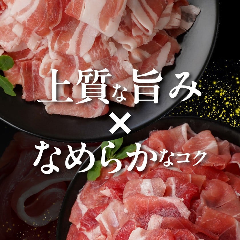 家計応援キャンペーン!霧島黒豚バラ&もも切り落とし2.8kgセット+ハンバーグ_AC-2803-CP_(都城市) 霧島黒豚 バラ もも 切り落とし 200g 小分け 煮込みハンバーグ デミグラスソース仕立て