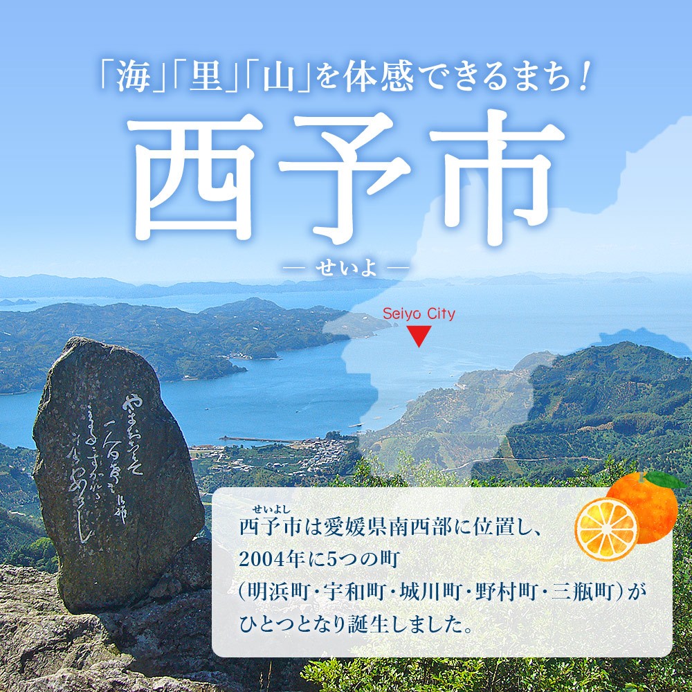 <訳あり 伊予柑 約4kg 浜のみかん屋 直送> 中 大玉 2L~4L ワケアリ イヨカン いよかん 家庭用 果物 フルーツ おいしい 甘い 柑橘類 明浜産 ご自宅用 特産品 愛媛県 西予市【常温】『2026年1月中旬~2月上旬迄に順次出荷予定』