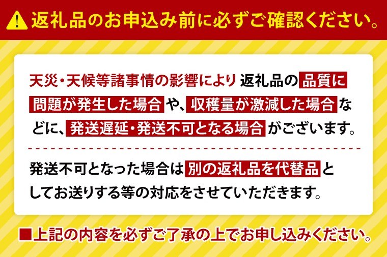 【2025年12月より順次発送】風間商店さんのながいも 約2kg(6～7本)｜ながいも いも 芋 長芋 野菜 やさい 人気 美容 健康 腸活 味噌汁 天ぷら 茨城県 行方市 行方市産(HO-1)
