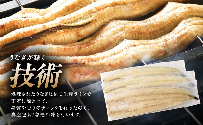 1468 鹿児島県大隅産うなぎ白焼3尾（360g）　KN007-009-01