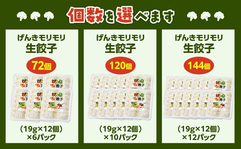 げんきモリモリ生餃子 120個　K027-010_02