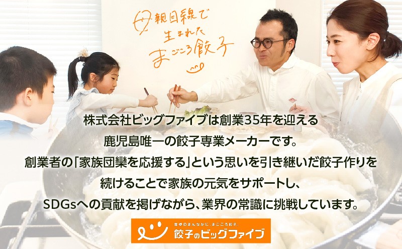 げんきモリモリ生餃子 120個　K027-010_02