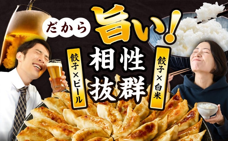 【最速便】【簡易包装】屋台骨 宮崎餃子(60個×2袋)_M061-004-02-2W