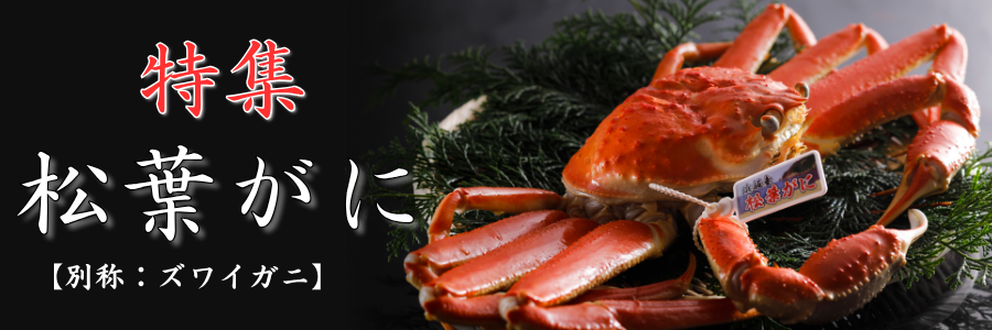 松葉ガニの本場よりプロ茹で松葉ガニ(冷凍)　1枚　約1kg