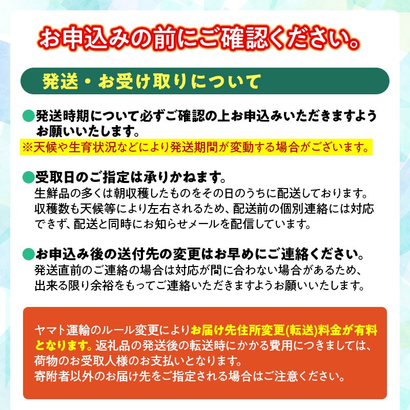 【令和8年産先行予約】 木村九八郎の朝採り！新鮮！だだちゃ豆 「早生」 1.5kg（500ｇ×3袋） 山形県鶴岡市産　K-829