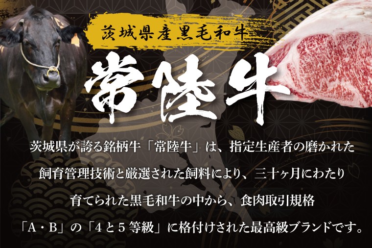 【茨城県共通返礼品】常陸牛100％ ハンバーグ 120g×6個｜ブランド牛 銘柄牛 和牛 黒毛和牛 国産 A5・A4ランク 等級 お肉 牛肉 真空 小分け 個包装 茨城県 大子町（DD020）