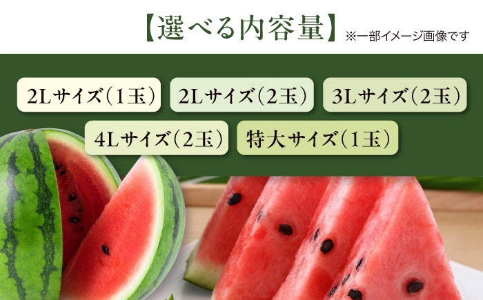 スイカ【選べる容量】【先行予約】【2026年6月上旬から順次発送】 スイカ【祭りばやし】2L～特大サイズ 先行予約 祭りばやし 大玉 高糖度 甘い 旬 完熟 ふじた農園 2L 3L 4L 特大 愛媛県大洲市/ふじた農園[AGDH001] スイカ すいか 西瓜 くだもの 果物 フルーツ 野菜 やさい 新鮮 愛媛県産 大洲市産 産地直送 おすすめ 人気 お取り寄せ 送料無料 贈答 ギフト