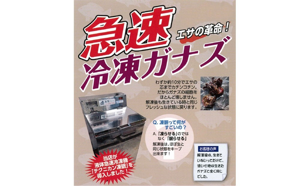 【近江屋釣具店】鴨川産 急速冷凍ガナズ(石鯛用釣りエサ)[0009-0033]