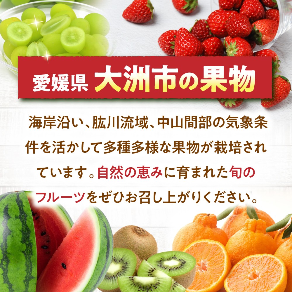 メロン 【先行予約】【2026年6月中旬から順次発送】　メロン タカミ 2から3玉 ふるさと納税 2026年発送 2玉 3玉 タカミメロン 糖度 高い 甘い 芳醇 希少 高級 旬 完熟 産地直送 梶原農園 果物 くだもの フルーツ めろん 予約 期間限定 送料無料 人気 おすすめ ランキング 愛媛県産 大洲市産 国産 6月発送 7月発送 夏の味覚 愛媛県大洲市/梶原農園 メロン [AGCX004]