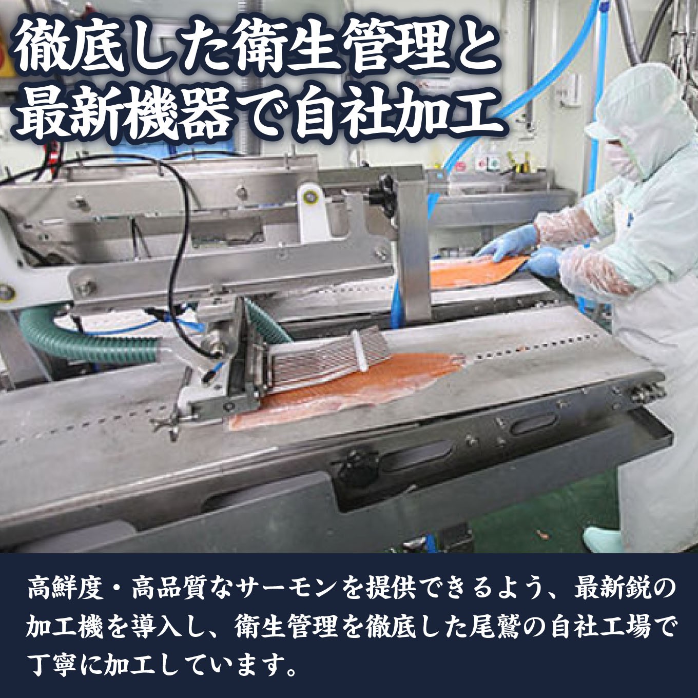 サーモン 漬け丼の素 （４食分）  脂 の のったアトランティックサーモン  海鮮 魚介 新鮮 冷凍 小分け  お手軽 便利 漁師町 の 漬け丼 三重県 尾鷲市 人気 店舗 の味 OT-9