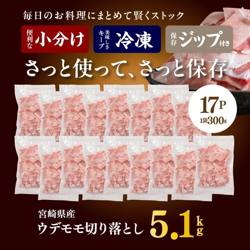 【2026年3月お届け】宮崎県産豚切り落とし5.1kg(ジッパー付袋入り)_18-1507-2603_都城市 宮崎県産豚 豚肉 ウデ モモ 切り落とし チャック付き 大容量 小分け 冷凍 かさばらない 使い勝手抜群 豚肉 小分け 使いやすい 焼きそば カレー 生姜焼き 肉野菜炒め アレンジ