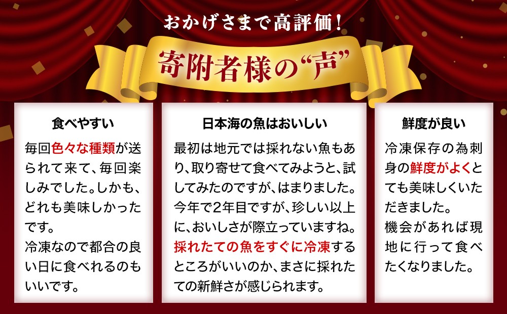 【毎月お届け 全12回 定期便】 魚問屋直送!氷見漁港で競り落としたお刺身詰め合わせセット 〈冷凍〉