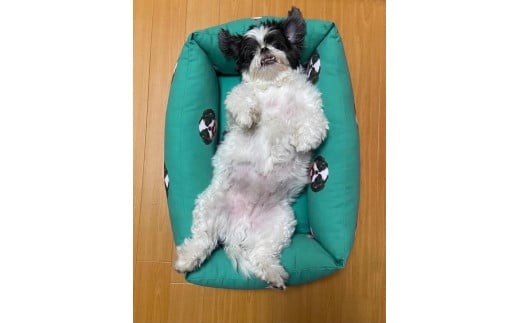 SANCHAGO　うちの子ペットベッド　【スクエア ミディアム】