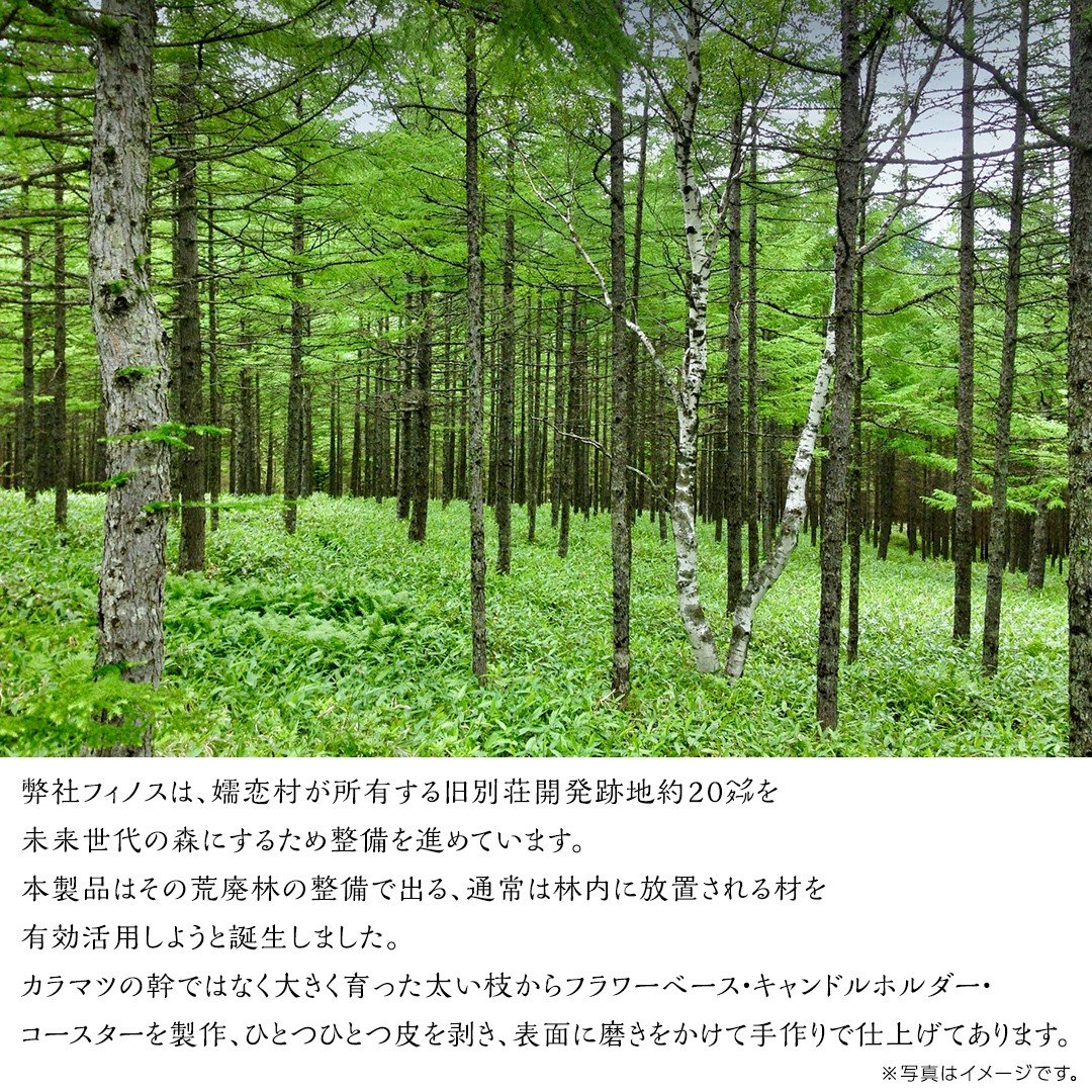 【 12月 発送開始 】 クリスマス に最適! フィノスの森 山ぶどうの リース と松ぼっくり の ガーランド 付き クリスマスリース クリスマスツリー アレンジ インテリア 日用品 飾り [BI007tu]